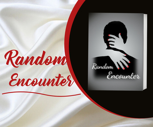 Random Encounter story cover